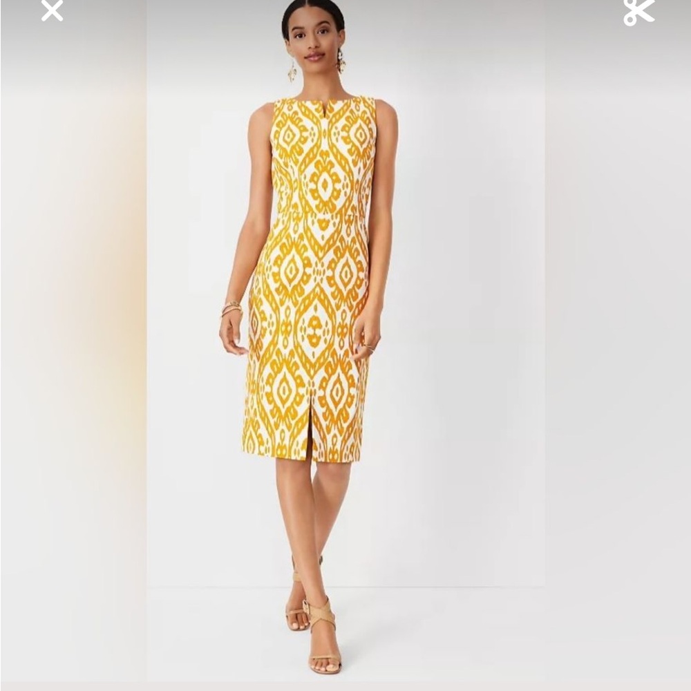 Ann Taylor Ikat Patterned Sheath Dress Size 4